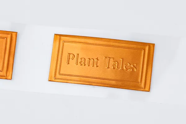 Exceptional Substrates